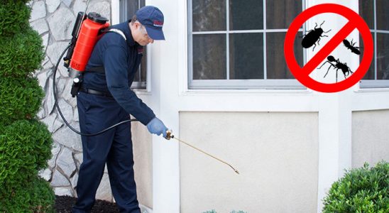 Mut Dezenfeksiyon böcek ilaçlama ve haşere kontrolü — ilaclama-tr.com